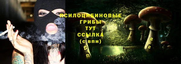 прущая мука Богородицк