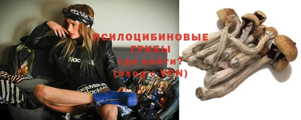 прущая мука Богородицк