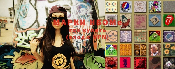метадон Богданович
