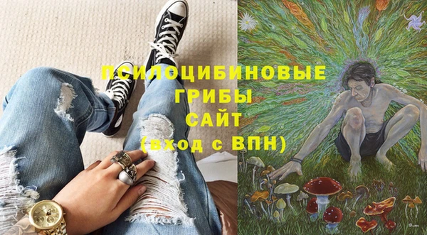 прущий лед Белокуриха