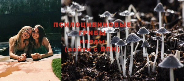 спиды Белоозёрский
