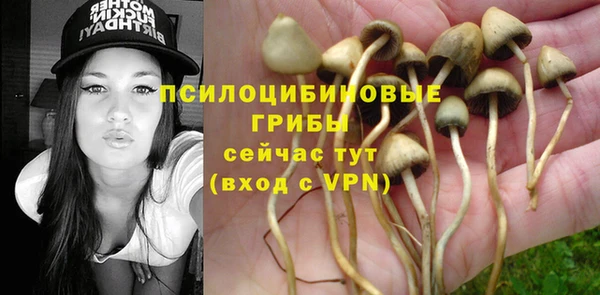метадон Беломорск
