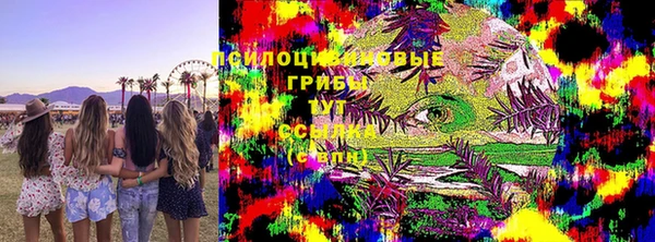 прущая мука Богородицк