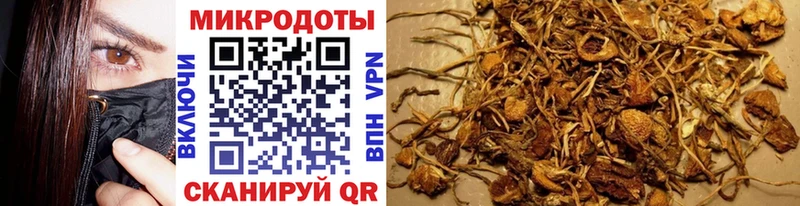 MEGA ссылки  Кольчугино  Галлюциногенные грибы Cubensis 