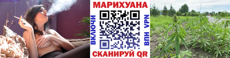 Конопля тримм Кольчугино